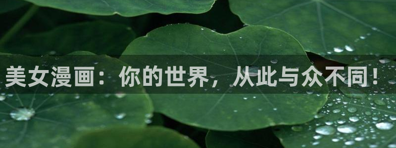 喵趣漫画最新版